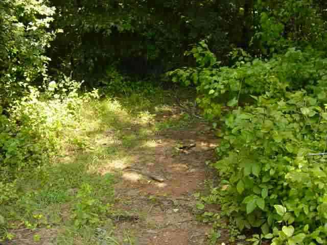 1150 State Rd S-42-1916 Cowpens, SC 29330 - Photo 8 of 10 Gallery Image 8
