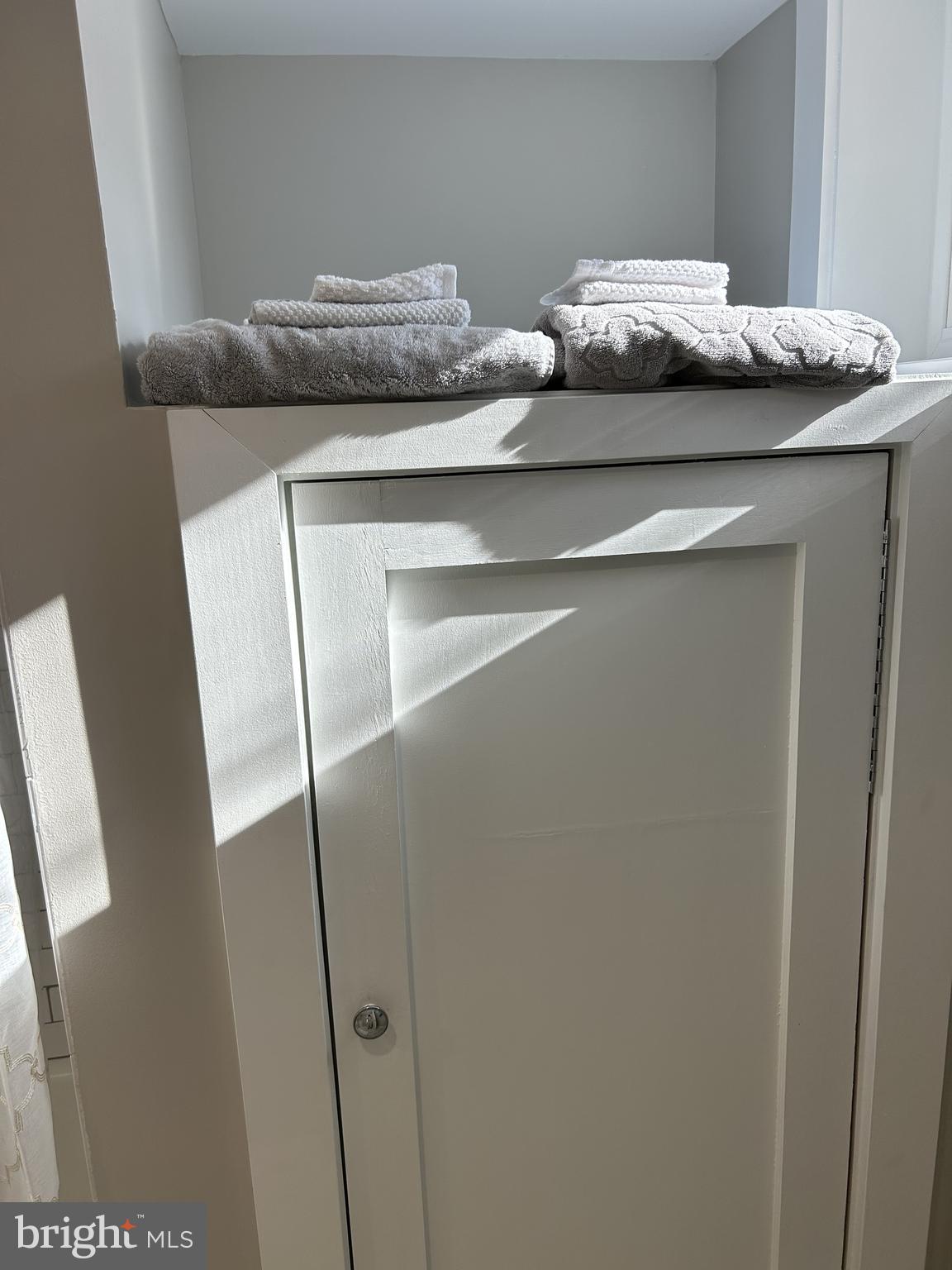 1516 Hamilton Street Northwest Washington, DC 20011 - Photo 10 of 14 a close view of closet