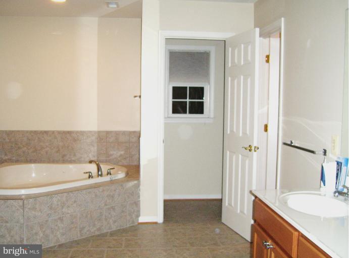 4333 Gene Hemp Road Jefferson, MD 21755 - Photo 28 of 30 Jet Tub, double sinks