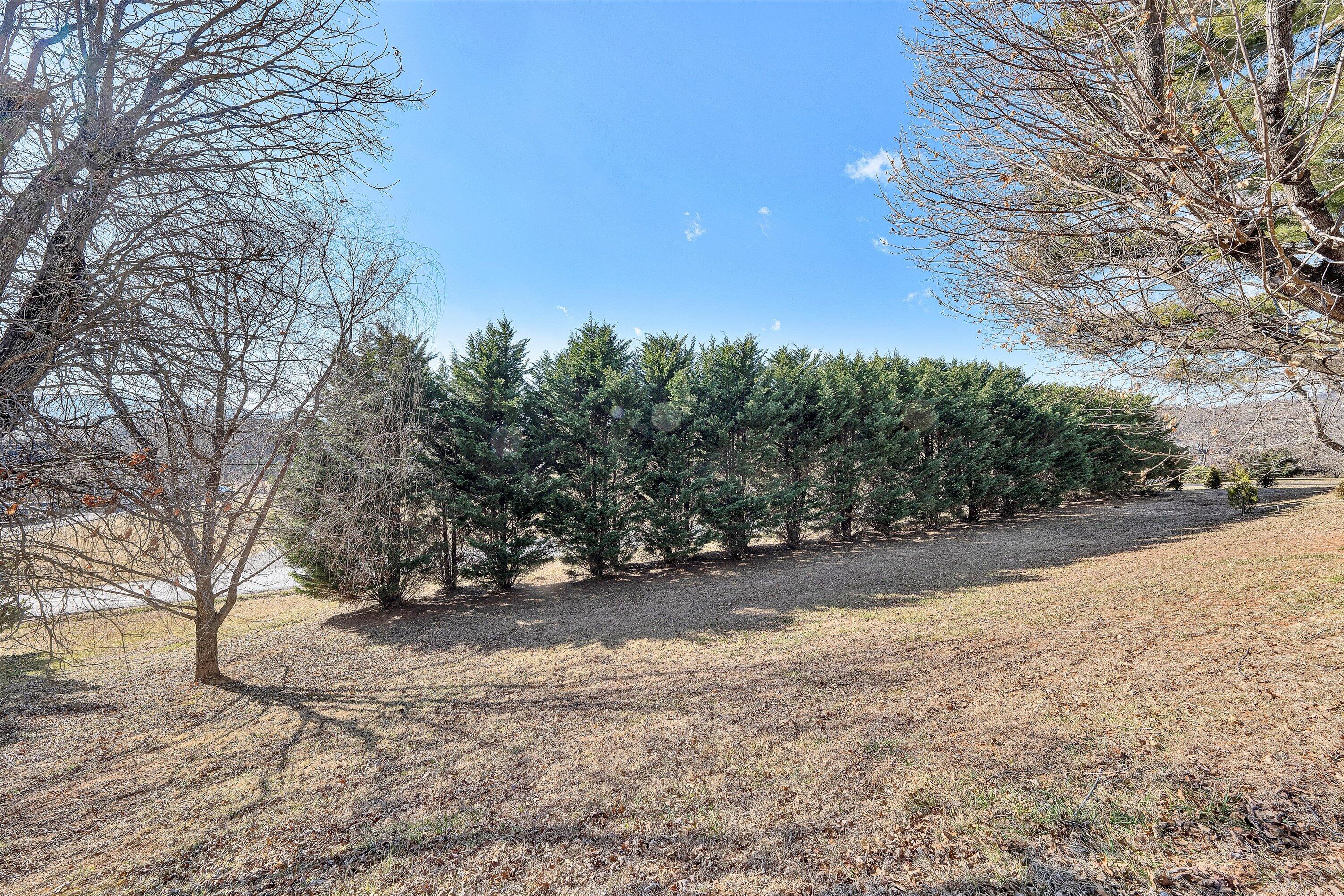 1944 Blue Ridge Springs Road Blue Ridge, VA 24064 - Photo 50 of 55 53-DSC00142