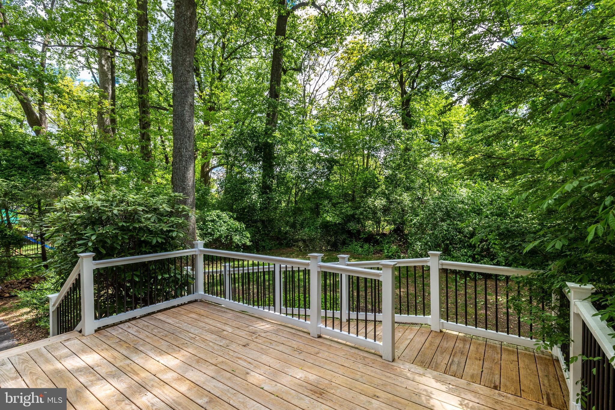 1083 Long Valley Road Westminster, MD 21158 - Photo 9 of 41 Maintenance Free Railings & Ramp