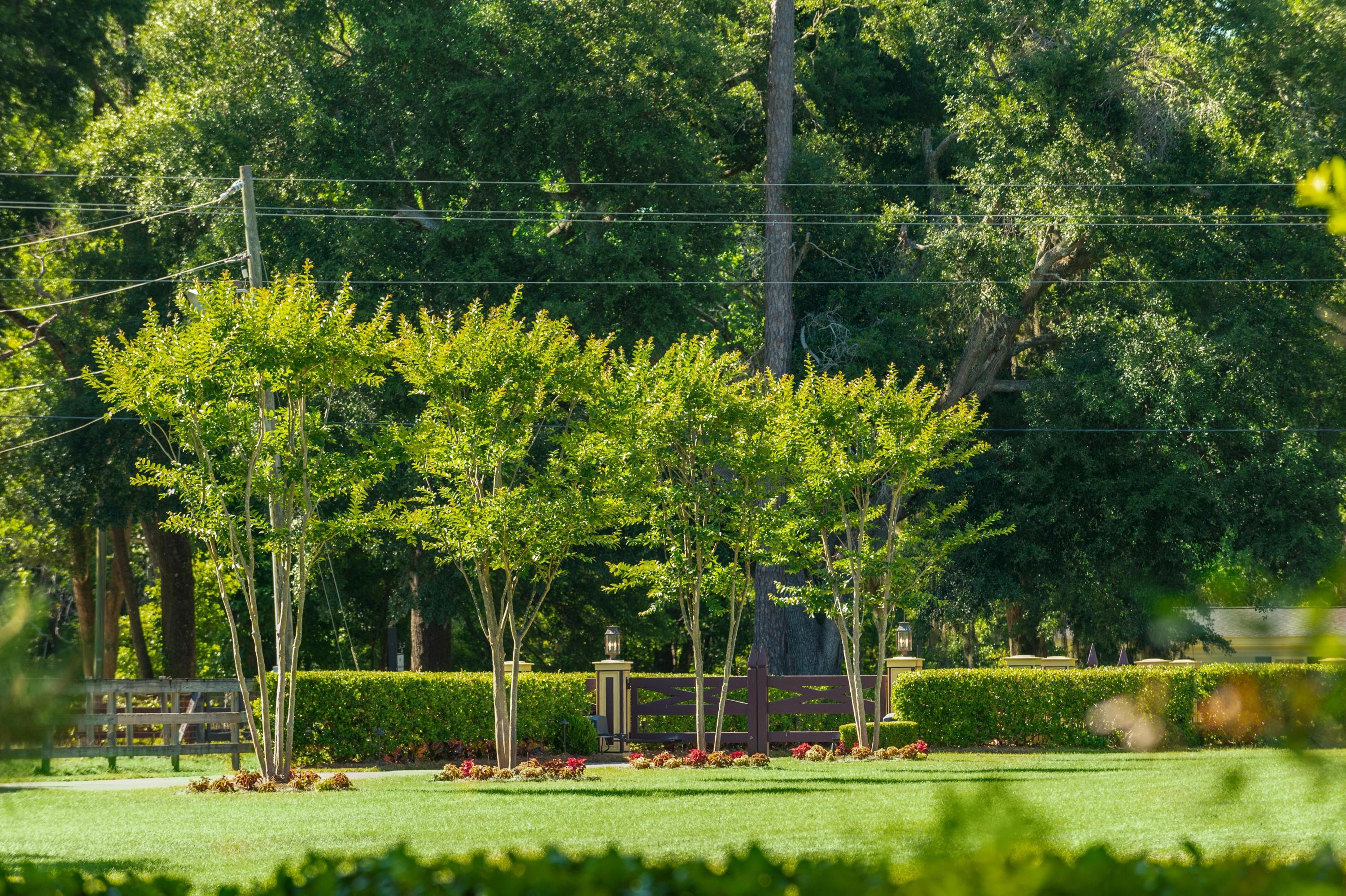 6016 Chisolm Road Johns Island, SC 29455 - Photo 11 of 93 6016 Chisolm Spring Exteriors_Low Res-1