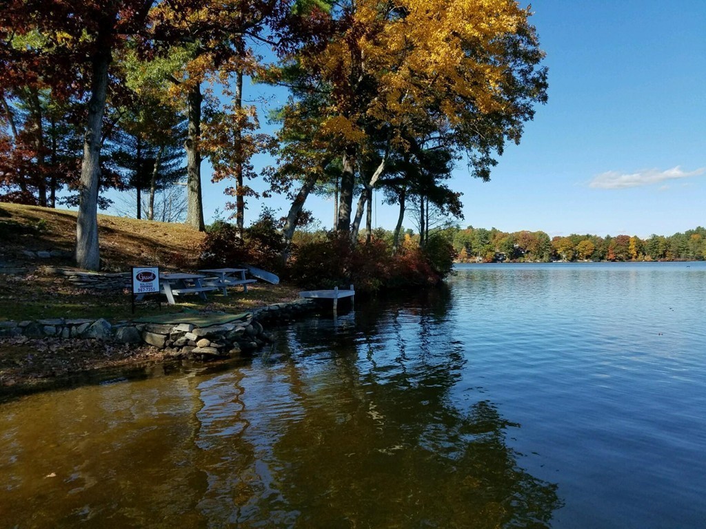 19 Pointview Road Ware, MA 01082 - Photo 8 of 19 a lake view with boat and palm trees