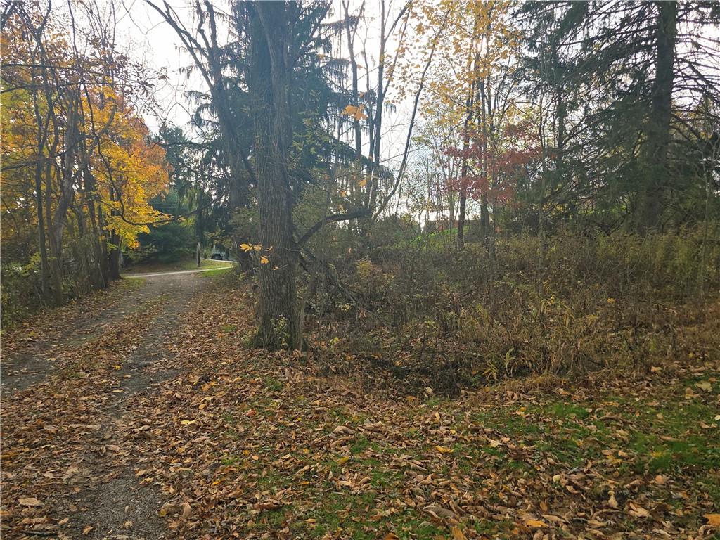 0 White School Road Greensburg, PA 15601 - Photo 2 of 5 a view of a yard with trees