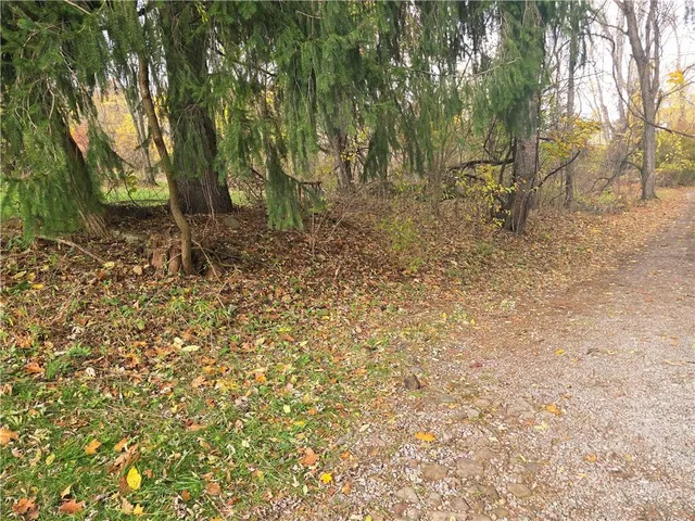 a backyard of a house with lots of plants and large trees