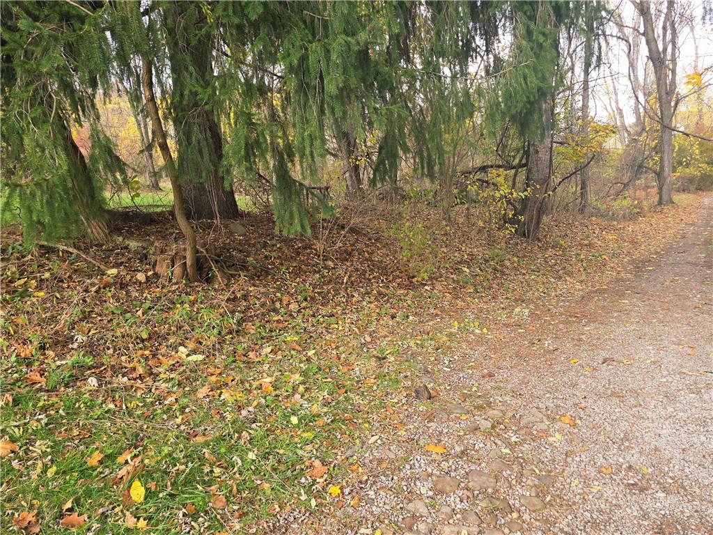 0 White School Road Greensburg, PA 15601 - Photo 3 of 5 a backyard of a house with lots of plants and large trees