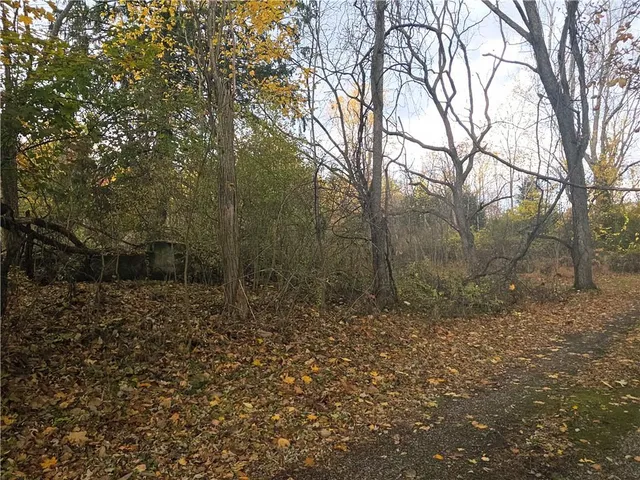a big yard with lots of green space