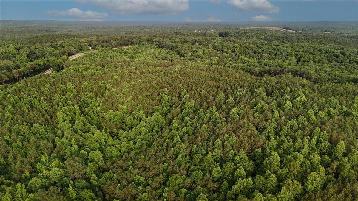 203 Tucker Road Lynn, AL 35575 - Photo 15 of 20 14-Tucker Rd-12