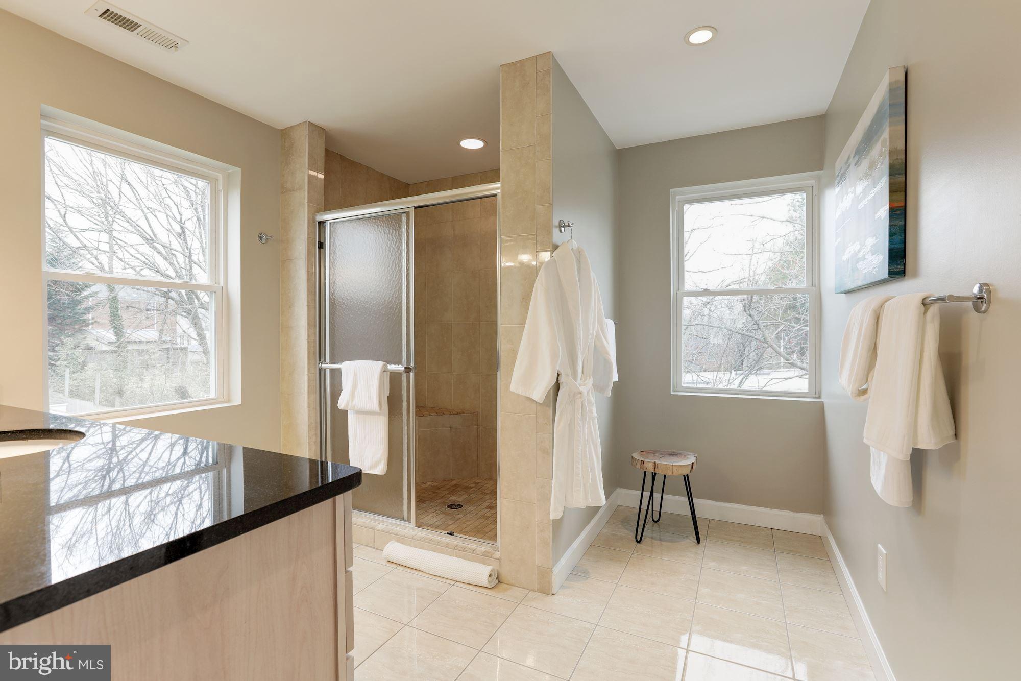 10007 Raynor Road Silver Spring, MD 20901 - Photo 17 of 23 Bath (Master)