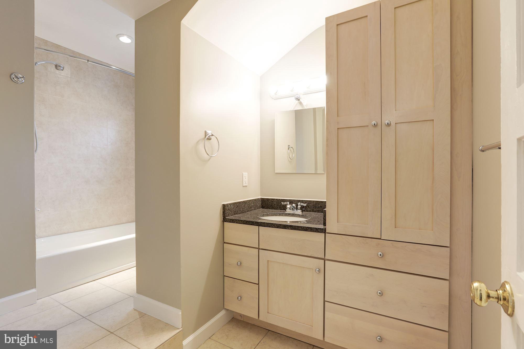 10007 Raynor Road Silver Spring, MD 20901 - Photo 22 of 23 Full Bath