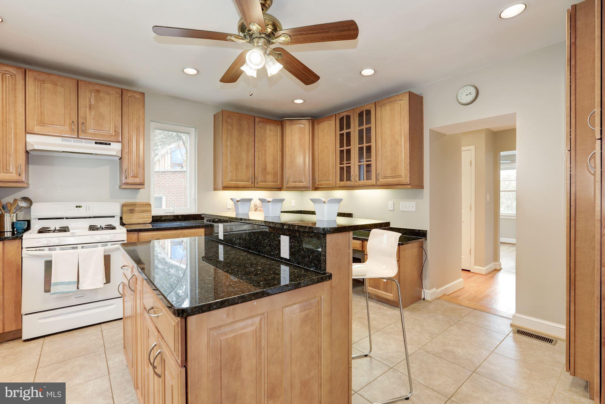 10007 Raynor Road Silver Spring, MD 20901 - Photo 8 of 23 Kitchen