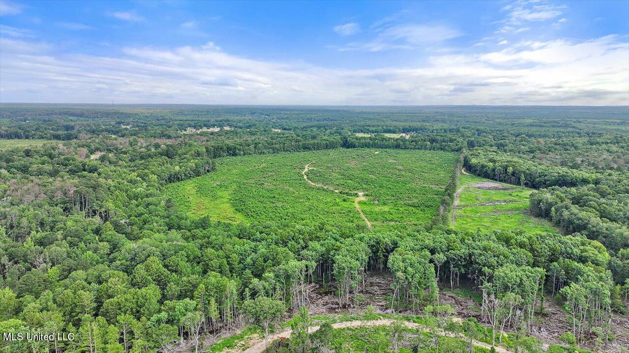 0 Broad Street Georgetown, MS 39078 - Photo 14 of 61 13-0 Railroad Rd