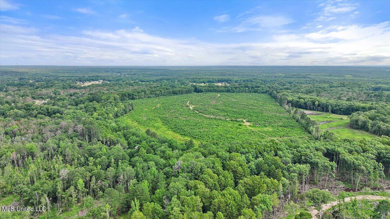 0 Broad Street Georgetown, MS 39078 - Photo 15 of 61 14-0 Railroad Rd