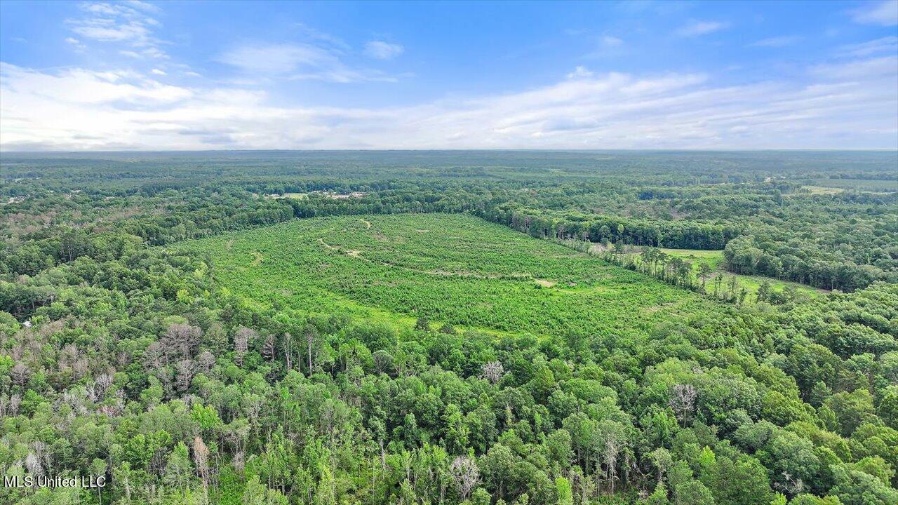 0 Broad Street Georgetown, MS 39078 - Photo 16 of 61 15-0 Railroad Rd