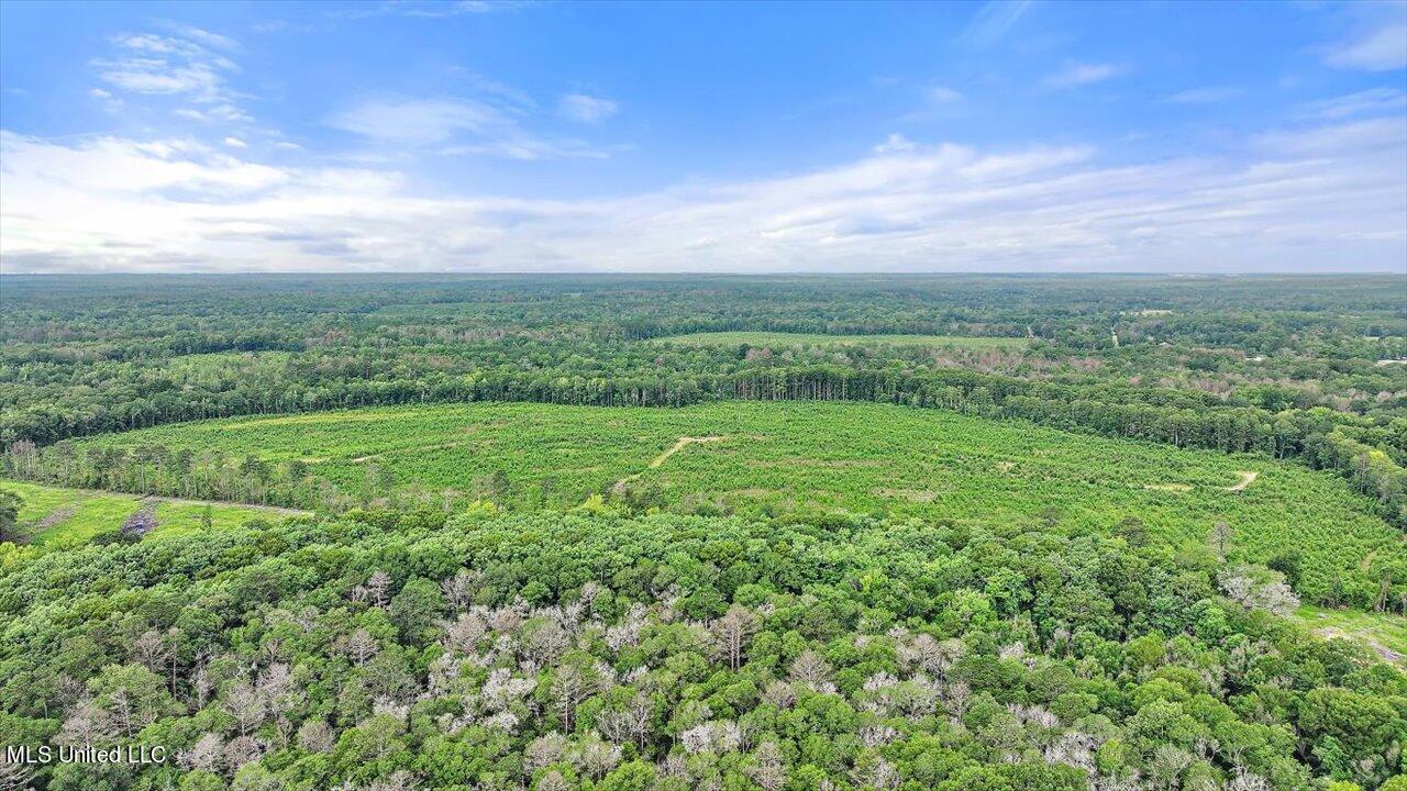 0 Broad Street Georgetown, MS 39078 - Photo 2 of 61 08-0 Railroad Rd