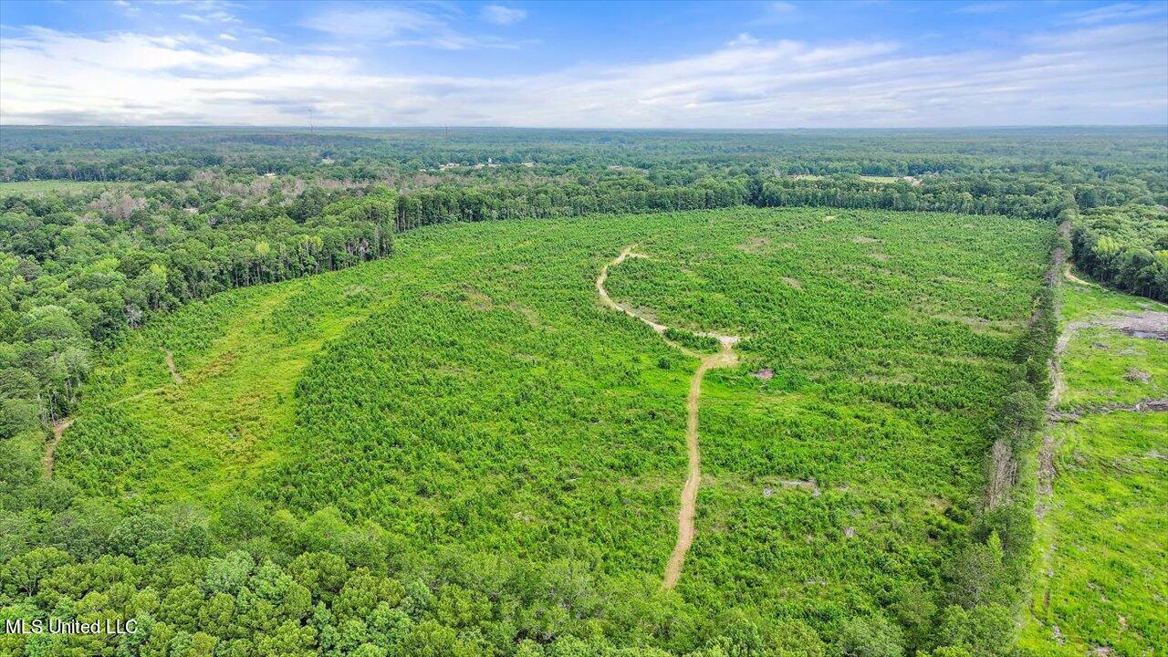 0 Broad Street Georgetown, MS 39078 - Photo 21 of 61 20-0 Railroad Rd