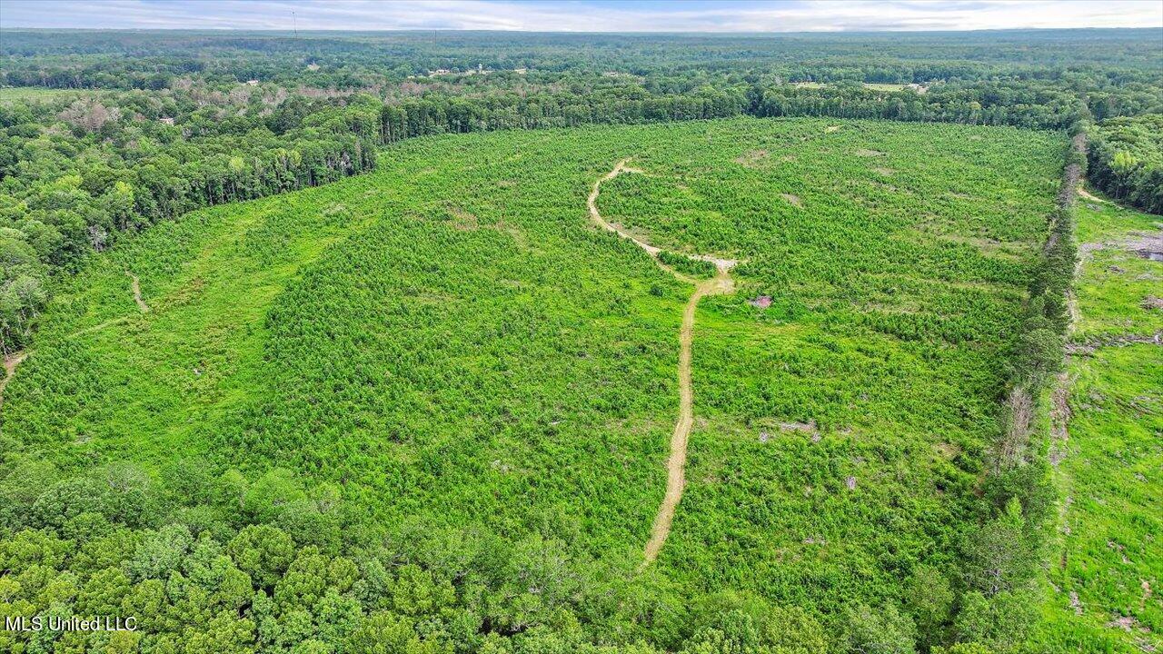 0 Broad Street Georgetown, MS 39078 - Photo 22 of 61 21-0 Railroad Rd