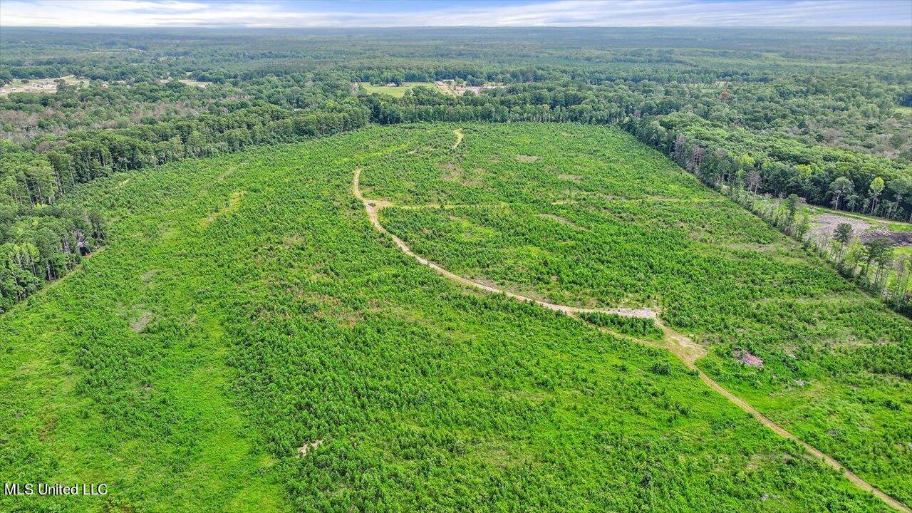 0 Broad Street Georgetown, MS 39078 - Photo 23 of 61 22-0 Railroad Rd