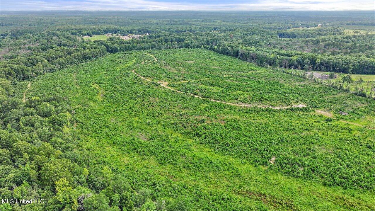 0 Broad Street Georgetown, MS 39078 - Photo 24 of 61 23-0 Railroad Rd