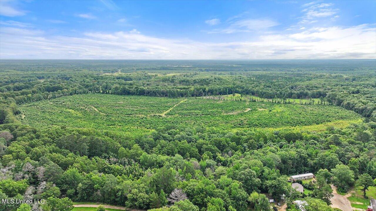 0 Broad Street Georgetown, MS 39078 - Photo 27 of 61 26-0 Railroad Rd