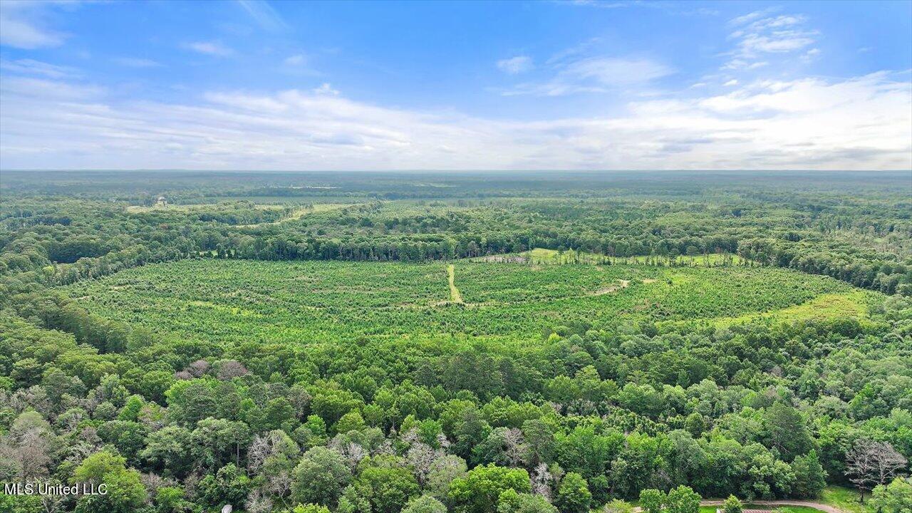 0 Broad Street Georgetown, MS 39078 - Photo 28 of 61 27-0 Railroad Rd