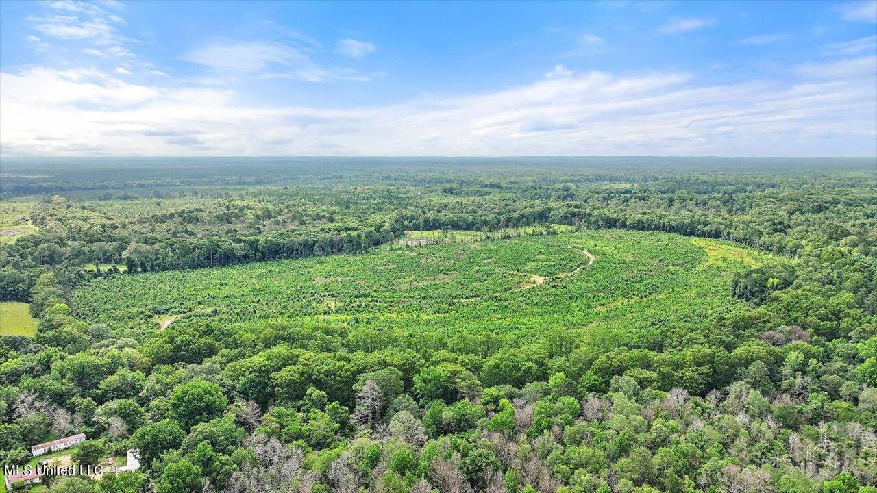 0 Broad Street Georgetown, MS 39078 - Photo 31 of 61 30-0 Railroad Rd