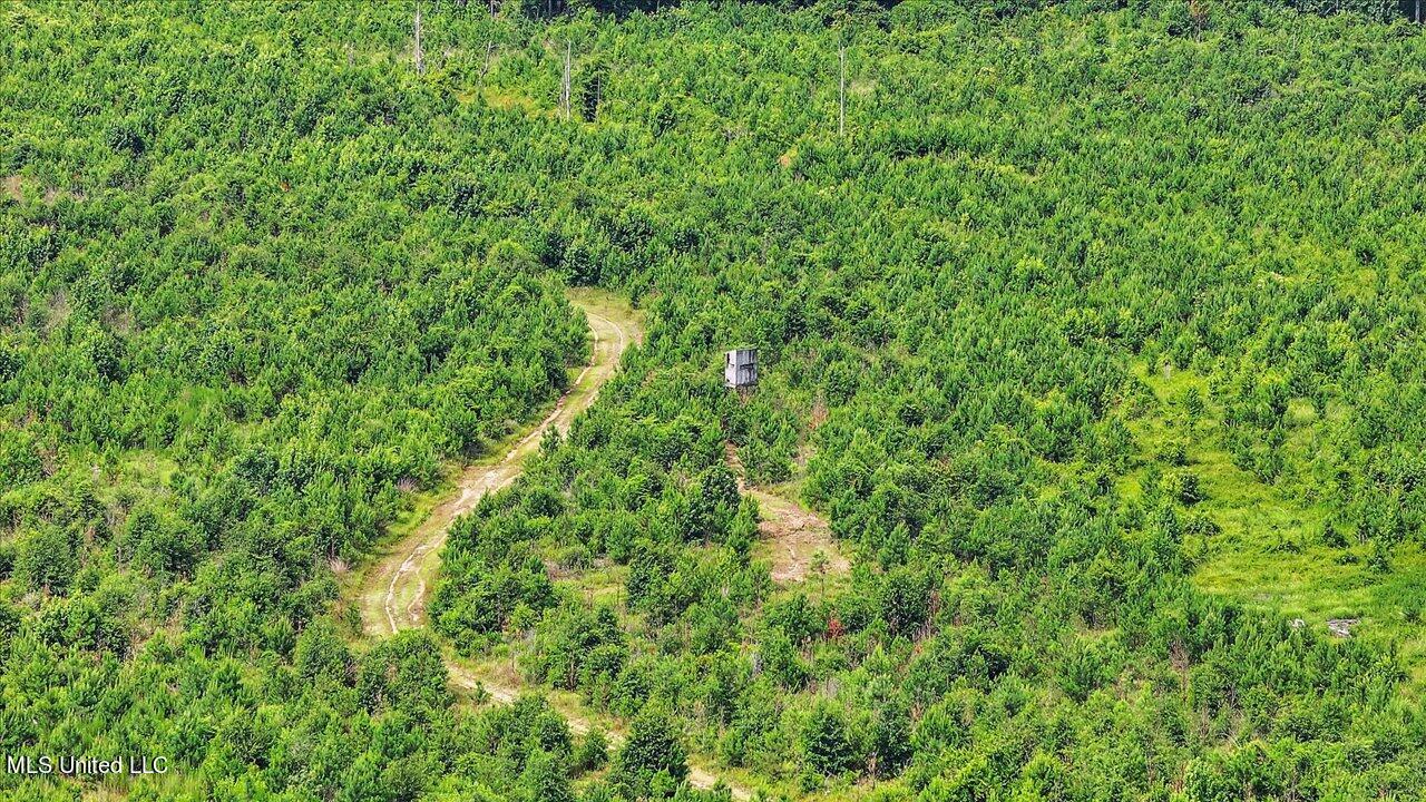 0 Broad Street Georgetown, MS 39078 - Photo 37 of 61 36-0 Railroad Rd