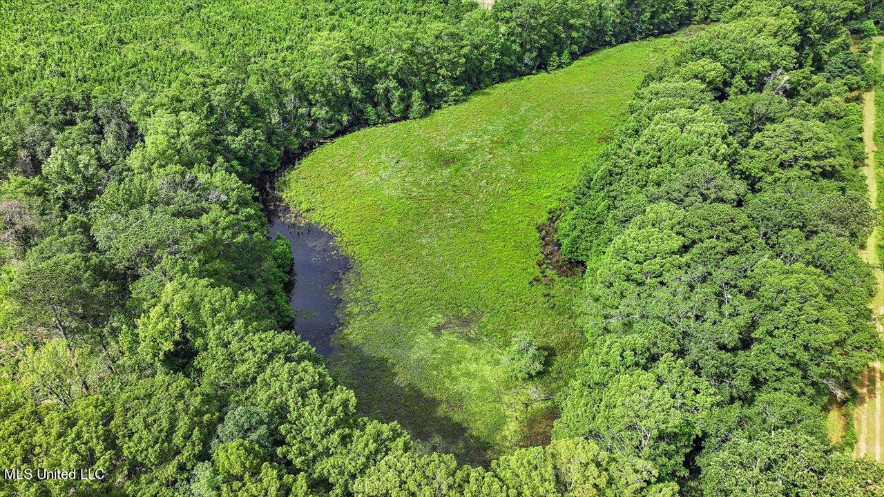 0 Broad Street Georgetown, MS 39078 - Photo 38 of 61 37-0 Railroad Rd