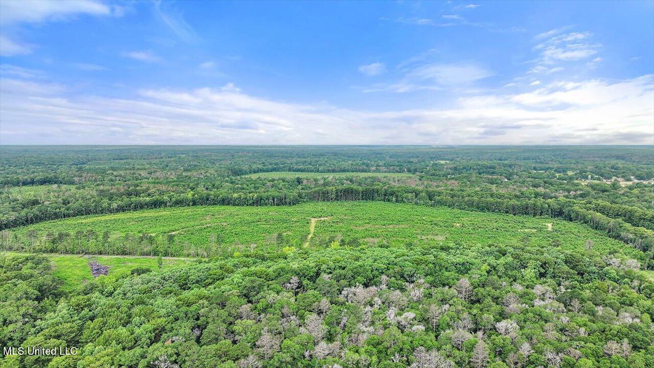 0 Broad Street Georgetown, MS 39078 - Photo 4 of 61 09-0 Railroad Rd