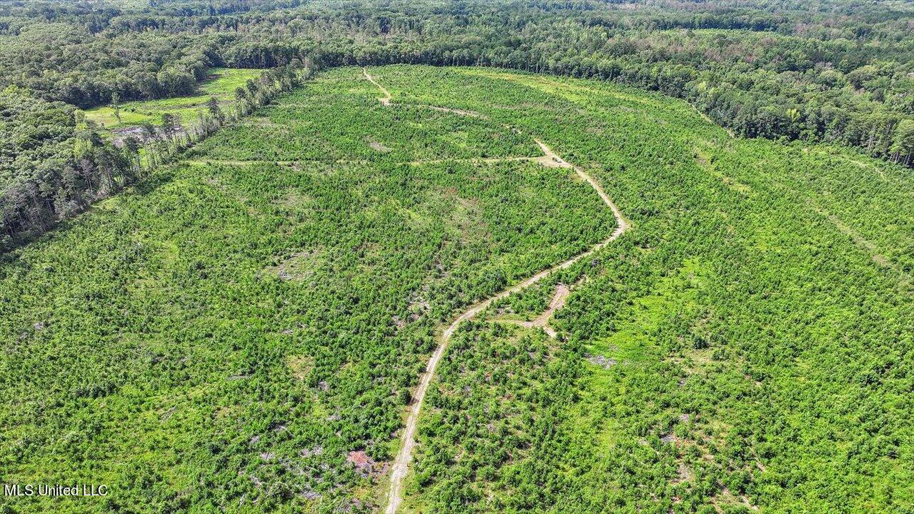 0 Broad Street Georgetown, MS 39078 - Photo 42 of 61 41-0 Railroad Rd