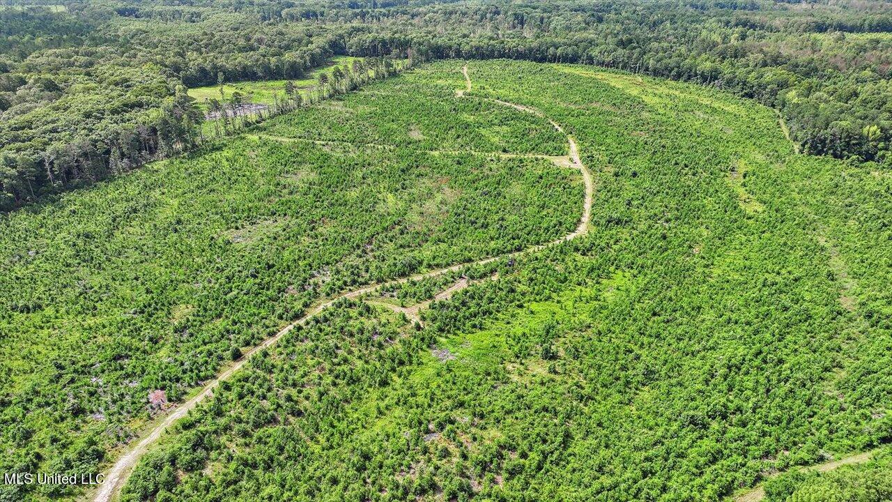 0 Broad Street Georgetown, MS 39078 - Photo 43 of 61 42-0 Railroad Rd