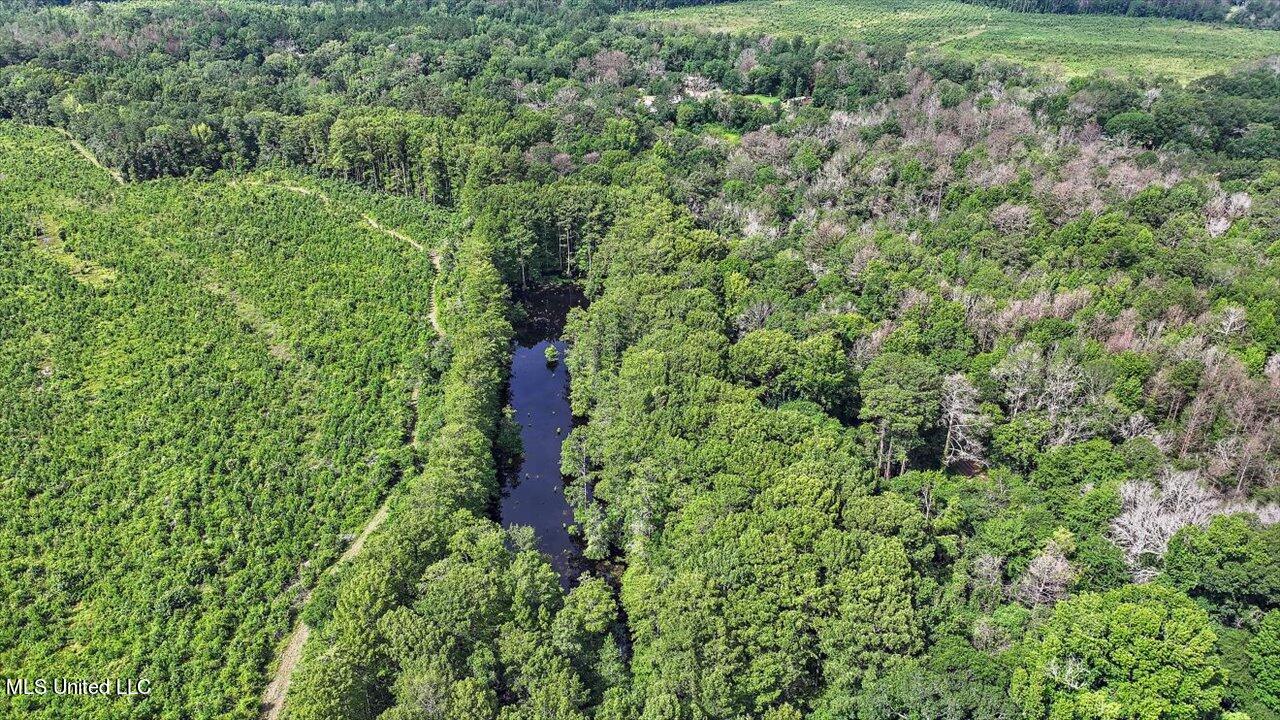 0 Broad Street Georgetown, MS 39078 - Photo 44 of 61 43-0 Railroad Rd