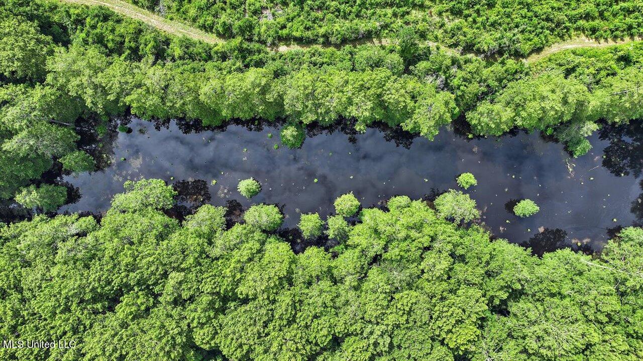0 Broad Street Georgetown, MS 39078 - Photo 46 of 61 45-0 Railroad Rd