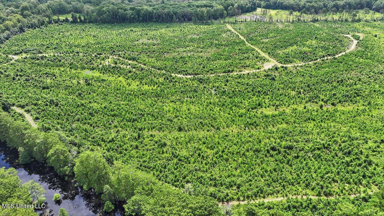 0 Broad Street Georgetown, MS 39078 - Photo 48 of 61 47-0 Railroad Rd