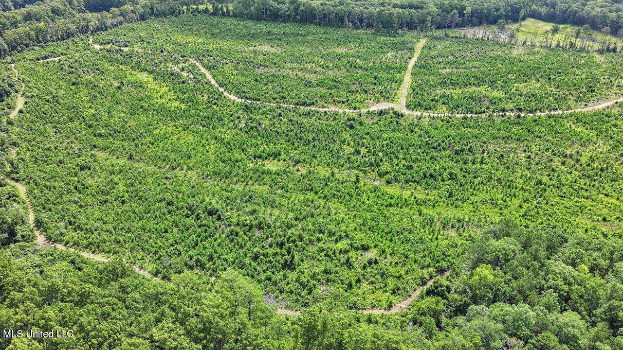 0 Broad Street Georgetown, MS 39078 - Photo 49 of 61 48-0 Railroad Rd