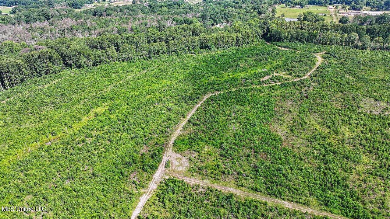 0 Broad Street Georgetown, MS 39078 - Photo 53 of 61 52-0 Railroad Rd