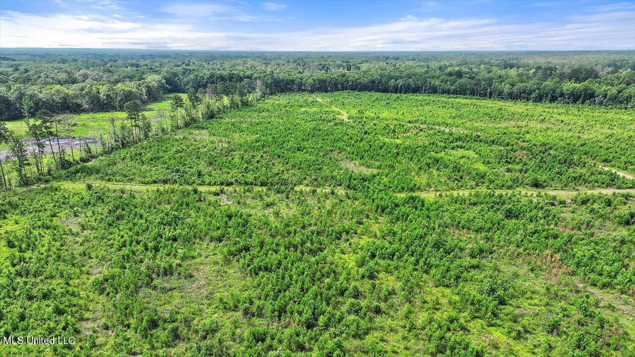 0 Broad Street Georgetown, MS 39078 - Photo 59 of 61 58-0 Railroad Rd