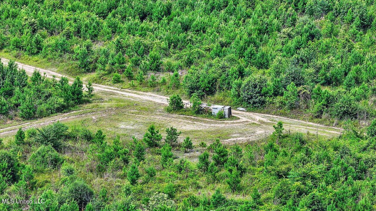 0 Broad Street Georgetown, MS 39078 - Photo 61 of 61 60-0 Railroad Rd