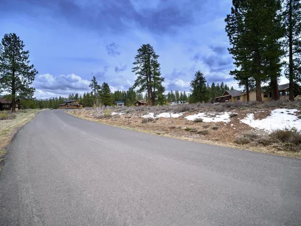 a view of a road with a yard
