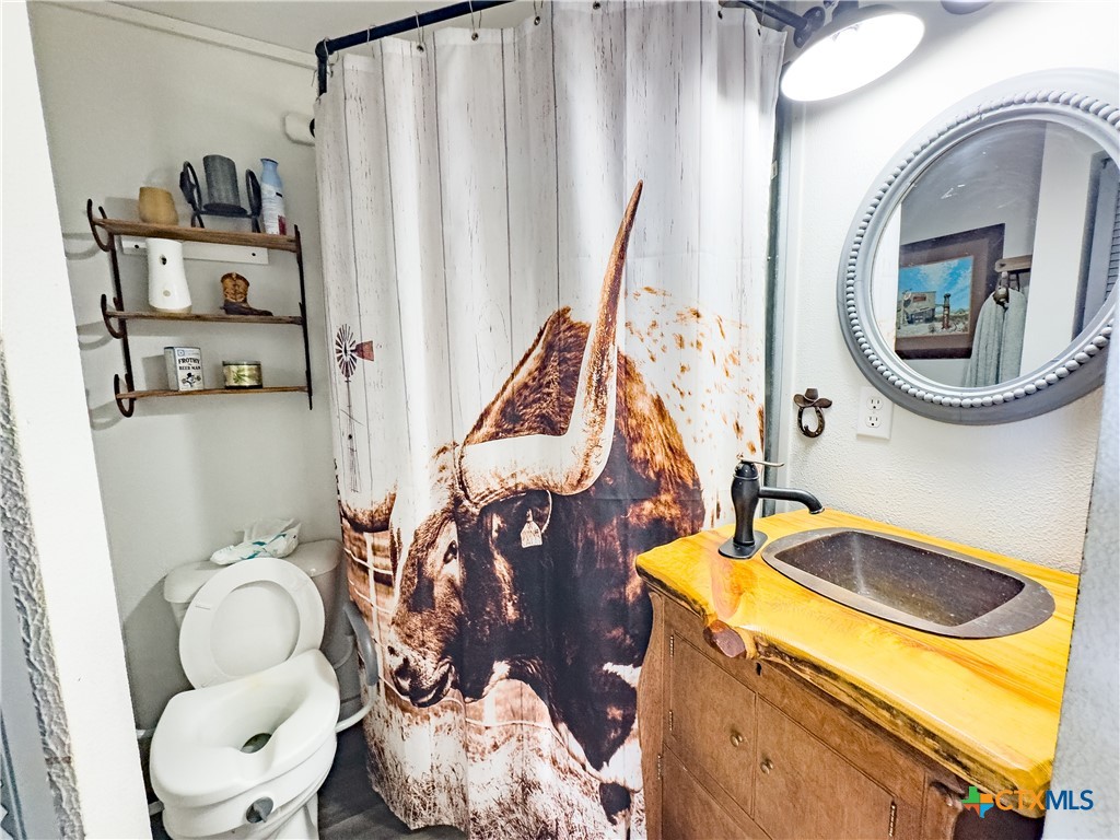 1374 Bego Road Goliad, TX 77963 - Photo 43 of 44 Shower in tiny home