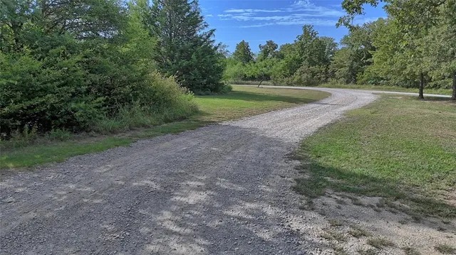 a view of a yard with a tree