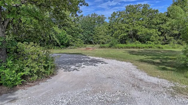 a view of a yard with a tree