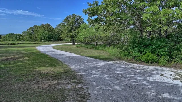 a view of a field with trees in the background