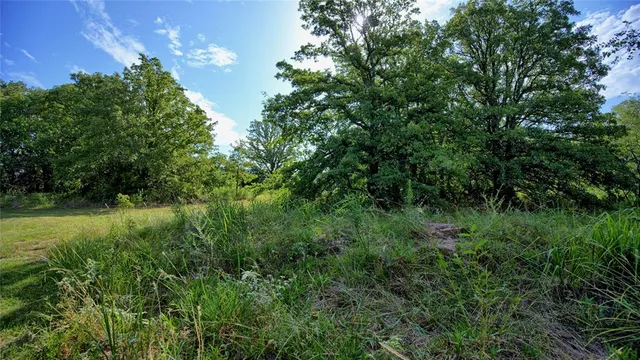 a view of a lush green space