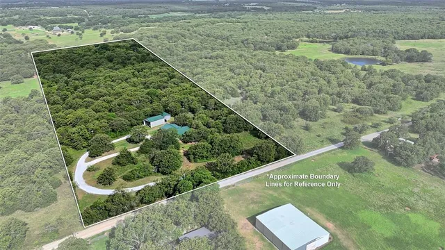 a view of a yard with potted plants