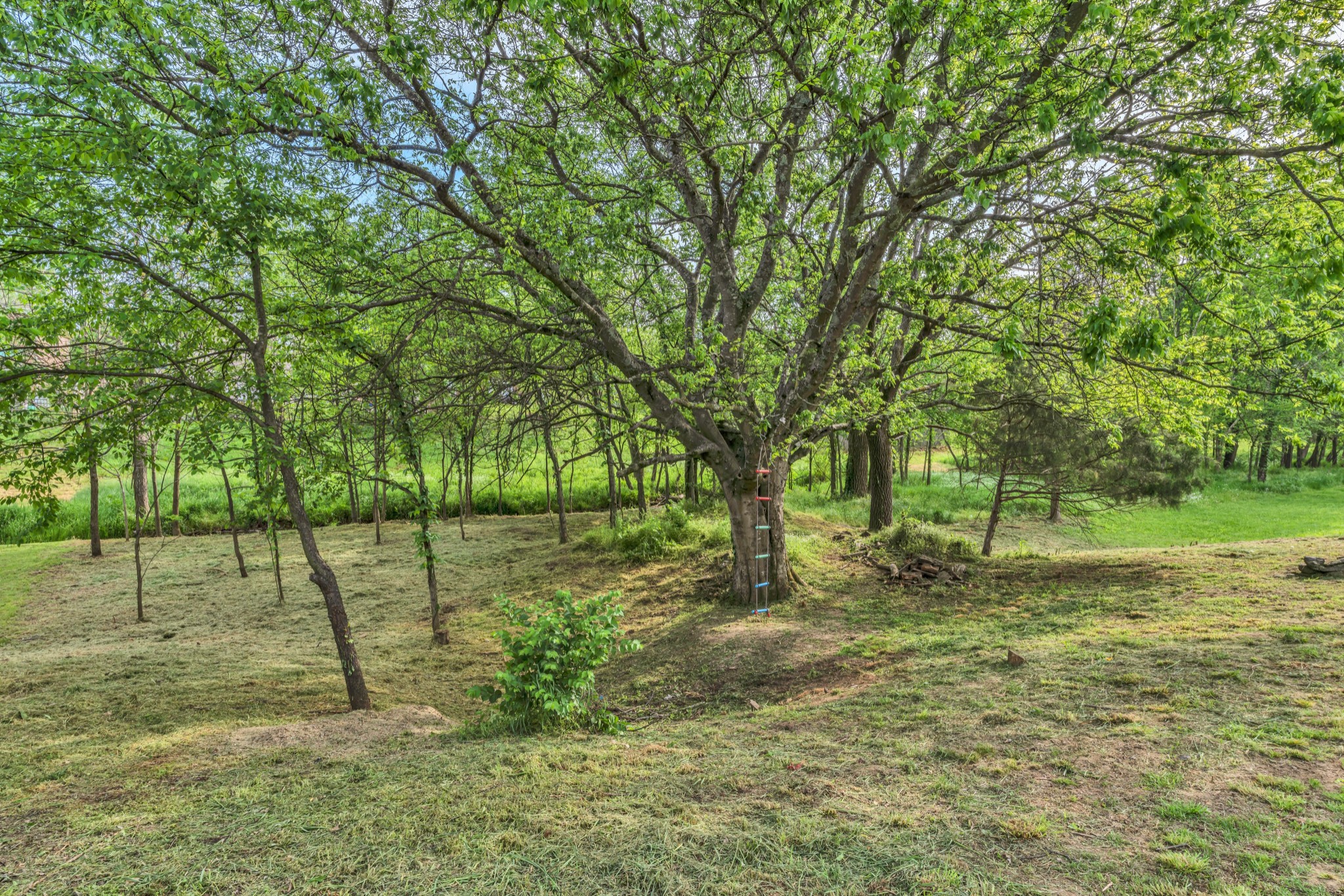 1023 Merrick Road Hendersonville, TN 37075 - Photo 42 of 49 Gallery Image 42