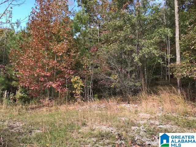 2 Ridgeline Drive, Unit 2 Calera, AL 35040 - Photo 3 of 6
