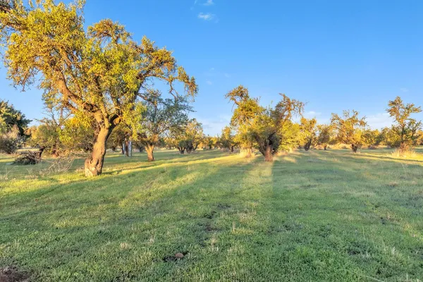 $1,149,000 | 25752 State Highway, Esparto, CA 95627