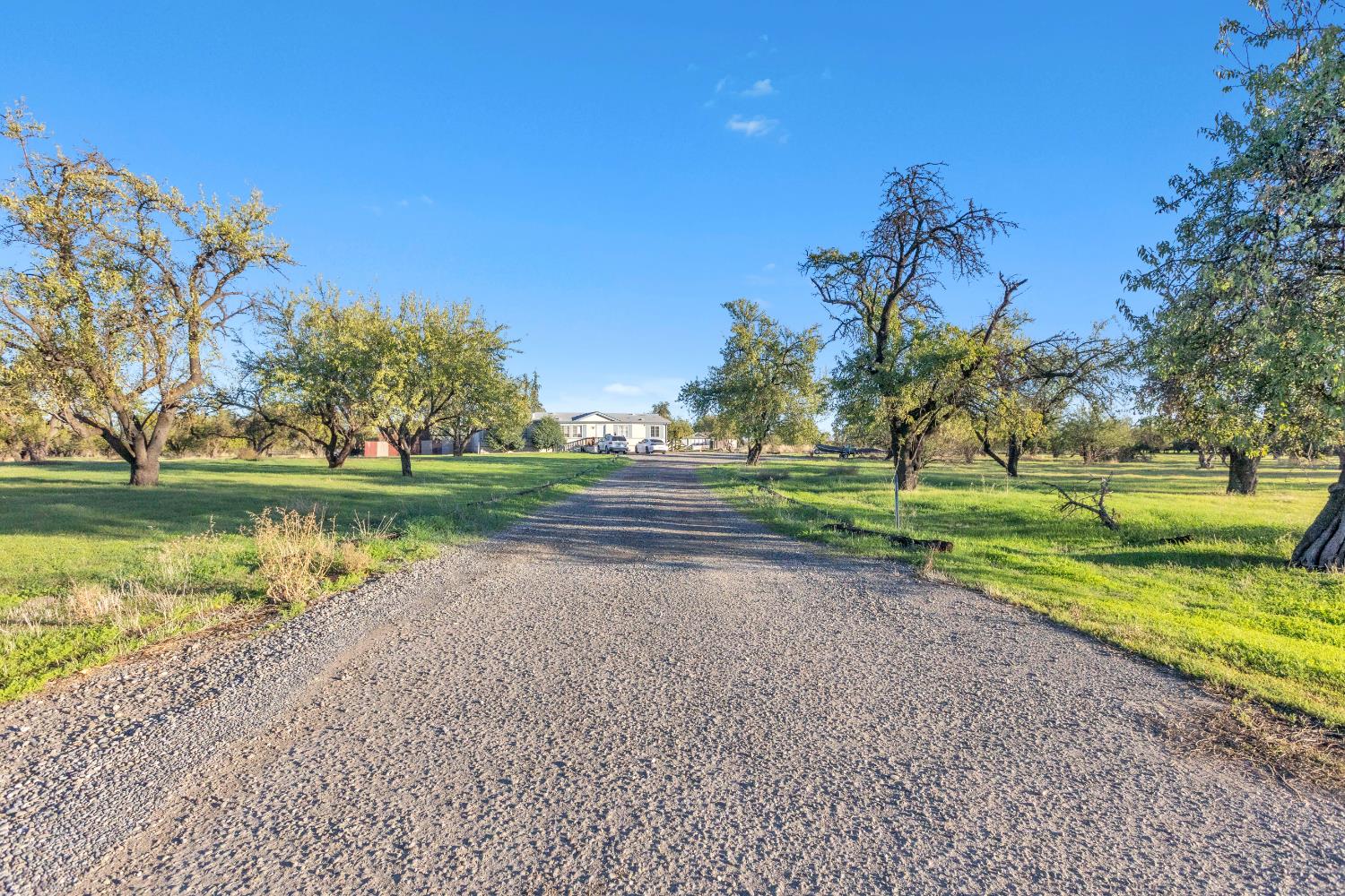 25752 State Highway Esparto, CA 95627 - Photo 22 of 60 a view of a lake with a big yard