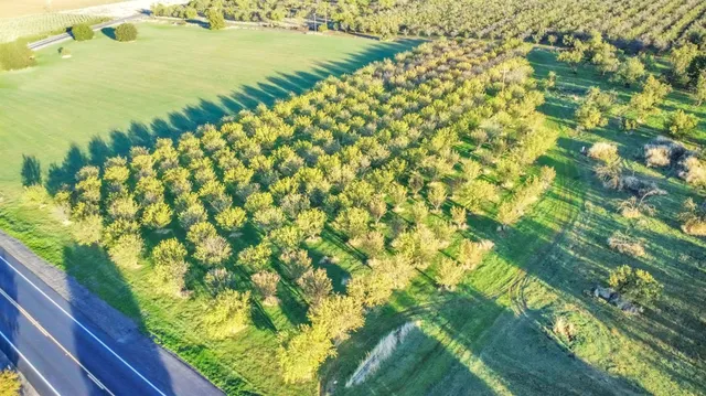 $1,200,000 | 25752 State Highway, Esparto, CA 95627